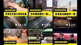 昆明海豚湾爆料视频大全,揭秘幕后真相与精彩瞬间 第1张 昆明海豚湾爆料视频大全,揭秘幕后真相与精彩瞬间 第1张