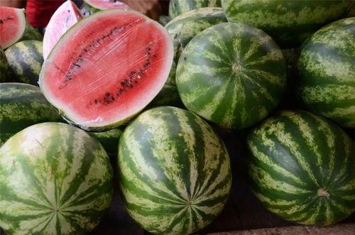 康县网红怎么吃瓜,康县网红教你如何品尝地道瓜果美味  第3张